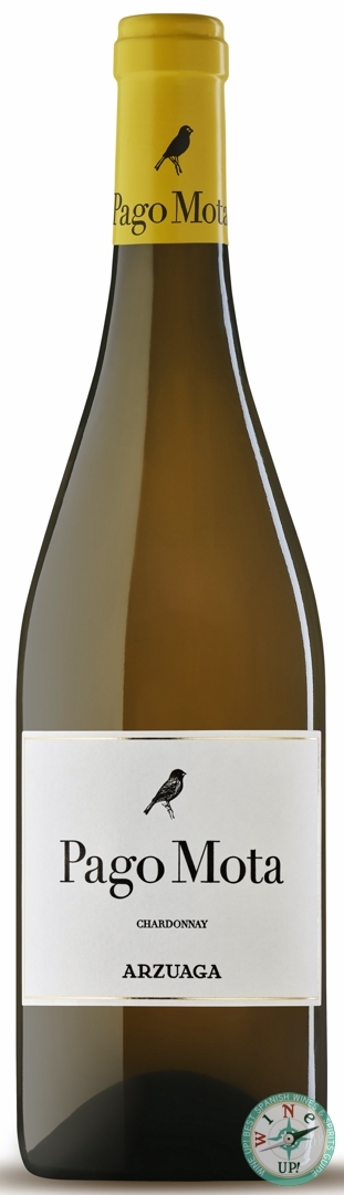 12006